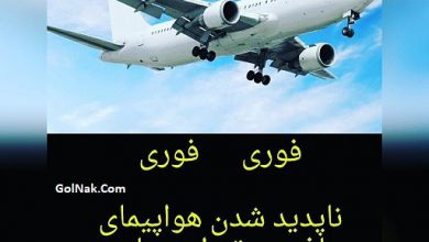 فیلم سقوط هواپیما تهران یاسوج در سمیرم 29 بهمن 96 + جزئیات سقوط