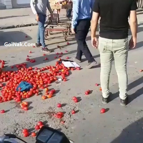فیلم برخورد مامور شهرداری گنبد کاووس با دستفروش در اینستاگرام سردار آزمون