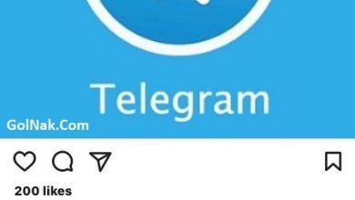 دستور رفع فیلتر تلگرام تا روز جمعه 4 خرداد 96 از زبان لعیا جنیدی