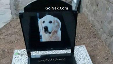 جنجال مراسم تشییع جنازه سگ چهارده ساله در مسجد سنگر رشت + عکس