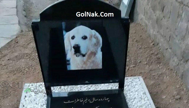 جنجال مراسم تشییع جنازه سگ چهارده ساله در مسجد سنگر رشت + عکس
