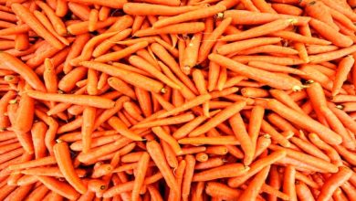 علت گرانی قیمت هویج مشخص شد