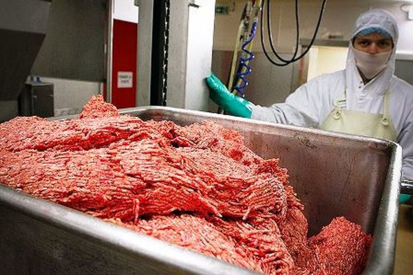 بازار گوشت اسب و الاغ در تهران داغ شد!