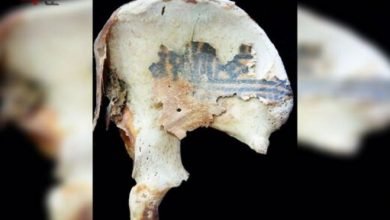 راز خالکوبی‌های عجیب بر بدن مومیایی‌های زنان باستان! +تصویر     	     	 –   ایران فور فان
