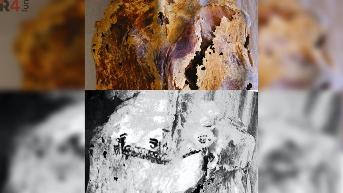 عکس این خالکوبی های عجیب روی بدن مومیایی های زنان باستانی چه معنایی دارد؟