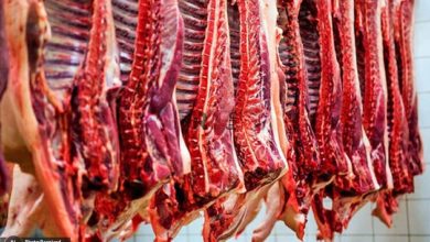 گوشت قرمز گران شد /  ۲ عامل اصلی گرانی قیمت گوشت مشخص شد –   ایران فورفان