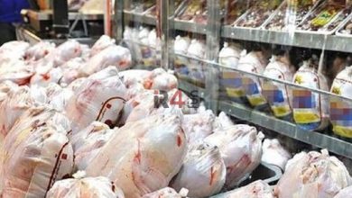 رکورد شکنی بی سابقه در گرانی قیمت مرغ / هر کیلو مرغ به ۱۰۰ هزار تومان رسید! –   ایران فورفان