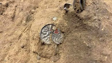 یک دختر بچه گنجی ۵ هزار ساله را پیدا کرد + جزئیات کامل –   ایران فورفان