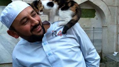 ببینید | رفتار بامزه یک گربه روی دوش امام جماعت هنگام نماز در ترکیه –   ایران فورفان