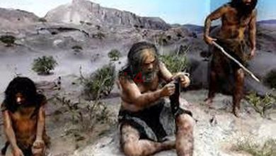 قدیمی ترین انسان جهان کشف شد! + عکس –   ایران فورفان