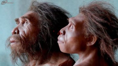 انسان های نخستین چه شکلی بودند؟ + عکس دیده نشده –   ایران فورفان