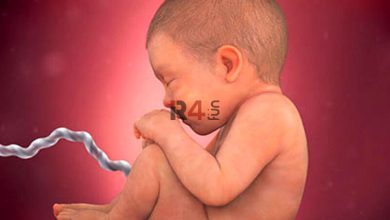 ببینید | ویدیویی باورنکردنی از یک جنین در حال نیشگون گرفتن رحم مادرش! –   ایران فورفان