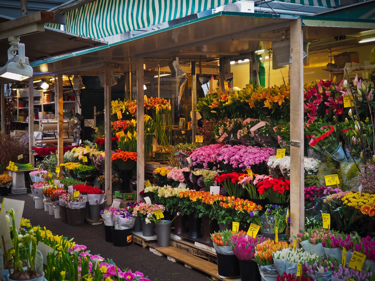 مزایای خرید گل از گل فروشی آنلاین