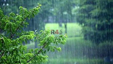 هشدار مهم هواشناسی برای این استان ها / آغاز بارش باران از فردا ۱۸ مرداد تا چند روزآینده  –   ایران فورفان