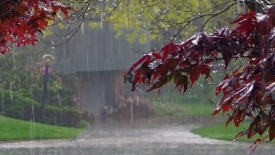 پاییز پربارشی در راه است / پیش‌بینی میزان بارندگی در زمستان ۱۴۰۲ –   ایران فورفان