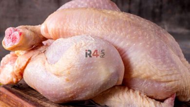 قسمتی از مرغ که هرگز نباید خورده شود –   ایران فورفان