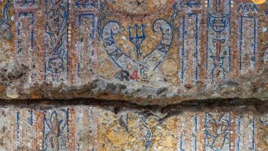 کشف خانه مجلل پر از گنج با قدمت دو هزار سال + جزئیات –   ایران فورفان