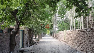 دیدنی‌ترین روستاهای رابر در کرمان –   ایران فورفان