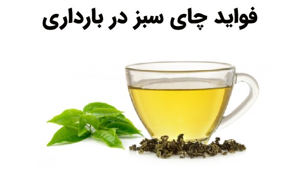 چای سبز در بارداری