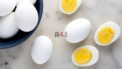 بلایی که مصرف بیش از حد تخم‌مرغ بر سرتان می آورد –   ایران فورفان