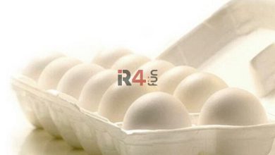 راز سلامتی با تخم مرغ: چند عدد در روز بی‌خطر است؟ –   ایران فورفان