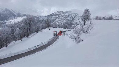 مشاهده «شوکا» و توله اش در کوه های برفی سیاهکل در گیلان + فیلم –   ایران فورفان