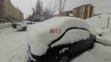 بارش نیم متری برف در تهران + عکس –   ایران فورفان