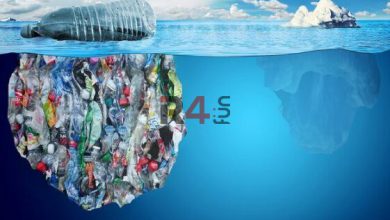 دنیای در بند پلاستیک؛ زنگ خطری برای بشریت –   ایران فورفان