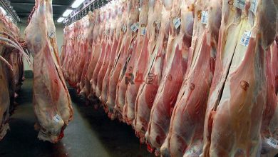 قیمت گوشت نجومی شد | افزایش شدید قیمت گوشت قرمز در بازار برای امروز شنبه ۴ فروردین ۱۴۰۳ –   ایران فورفان