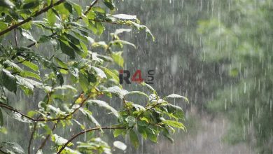 هشدار هواشناسی؛ بارش باران و باد شدید در راه است + فیلم –   ایران فورفان