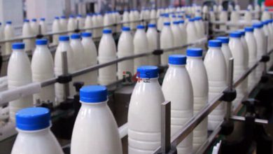 مصرف شیر گرم مفیدتر است یا سرد –   ایران فورفان