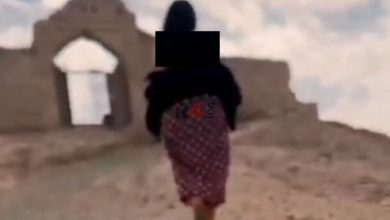 دستگیری دختر هنجارشکن در استان فارس + جزئیات –   ایران فورفان