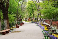 محبوب‌ترین پارک شمال تهران –   ایران فورفان