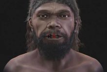 قدیمی‌ترین انسان در ۳۰۰ هزار سال قبل چه شکلی بوده است؟ –   ایران فورفان